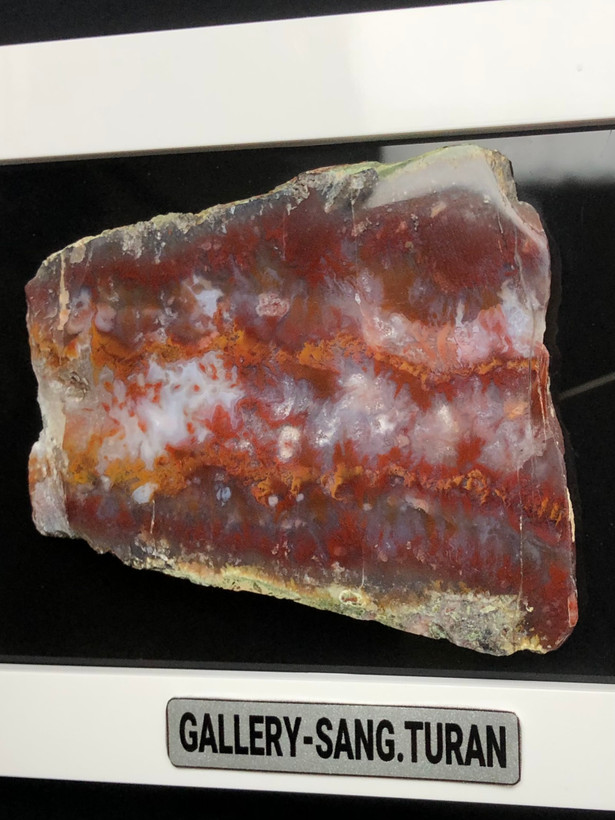 عقیق شجر خاص