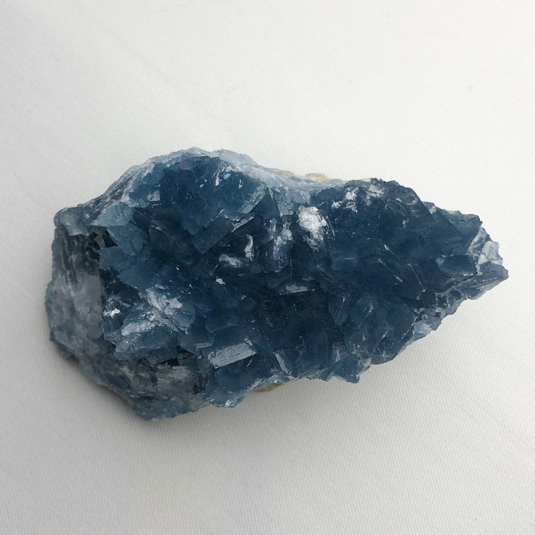سلستین ابی