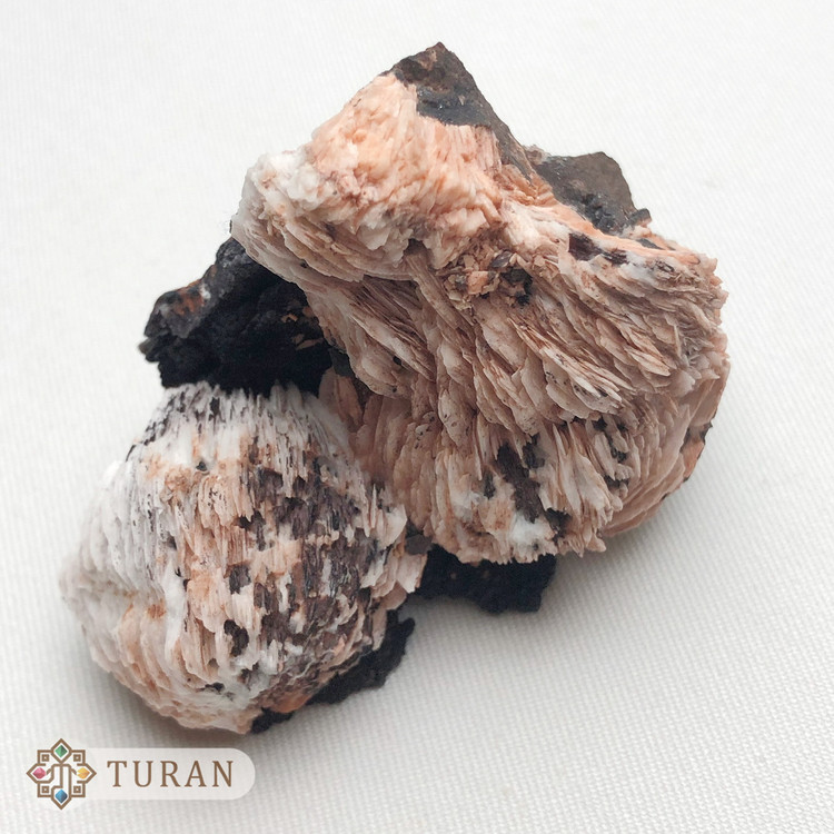 خرید سنگ راف