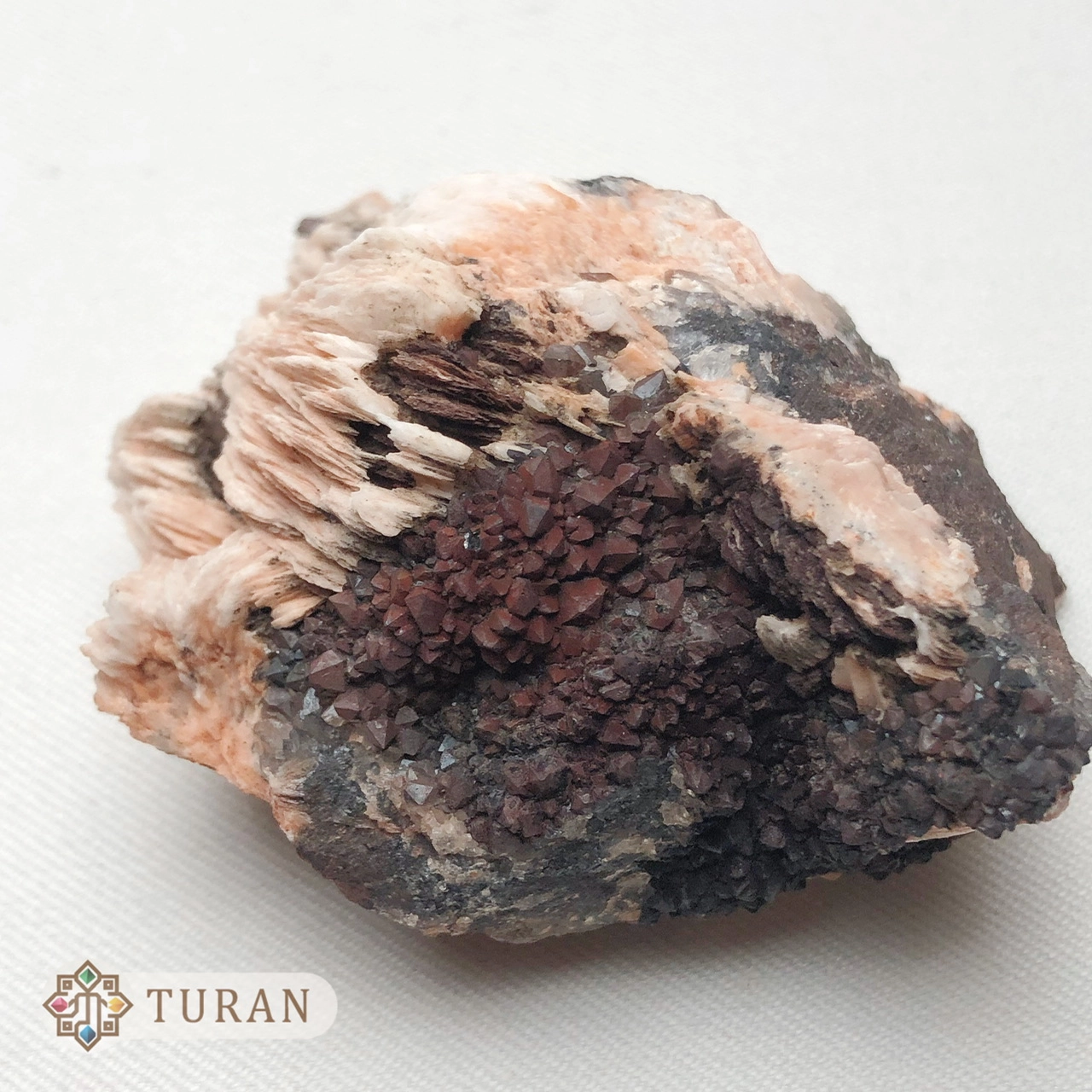 سنگ راف