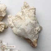خرید سنگ راف