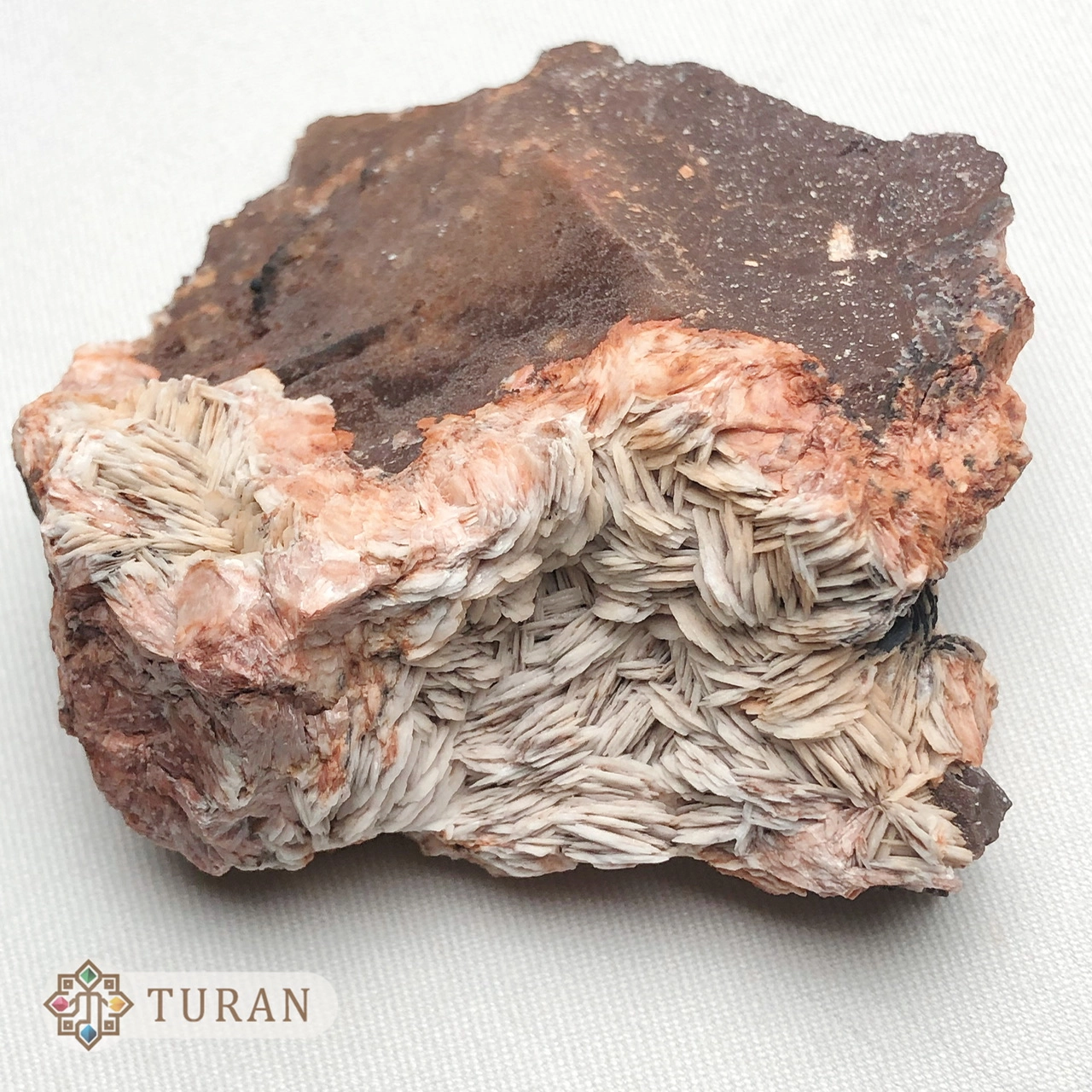 سنگ راف