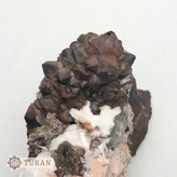 سنگ کلکسیونی