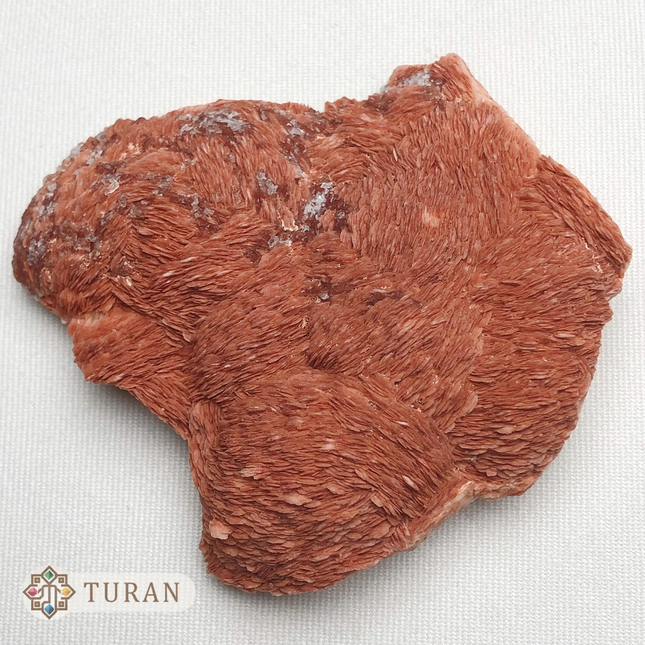 سنگ راف