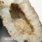 سنگ راف