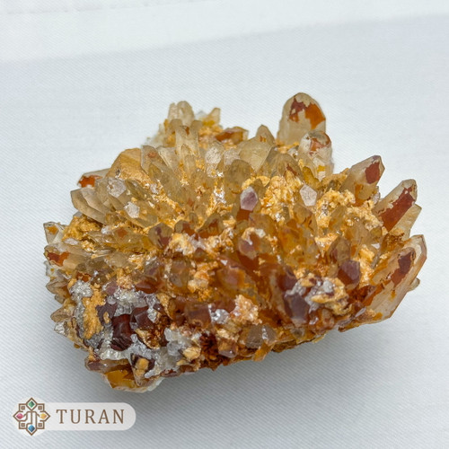 کلاستر کوارتز خورشیدی هماتوئیدی همرشدی با آلژیست کلکسیونی 336 گرم