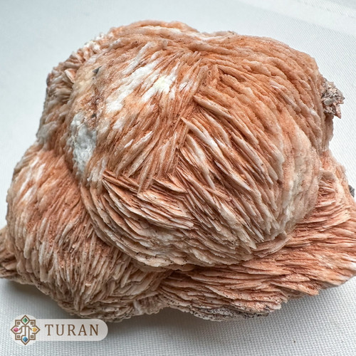 سنگ راف باریت گلبهی کلکسیونی 763 گرم