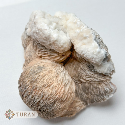 سنگ باریت راف توپی با همرشدی اراگونیت طبیعی و کلکسیونی 893 گرم