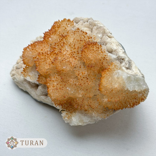 کلسیت هماتوئیدی روی بستر طبیعی و کلکسیونی 628 گرم