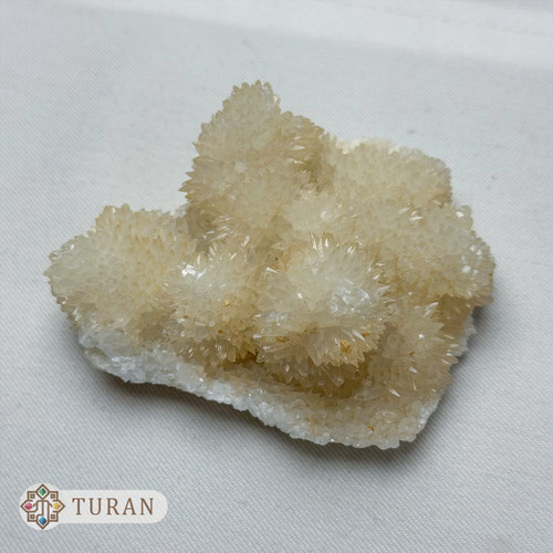 سنگ راف کلسیت طبیعی بر روی دولومیت 140 گرم