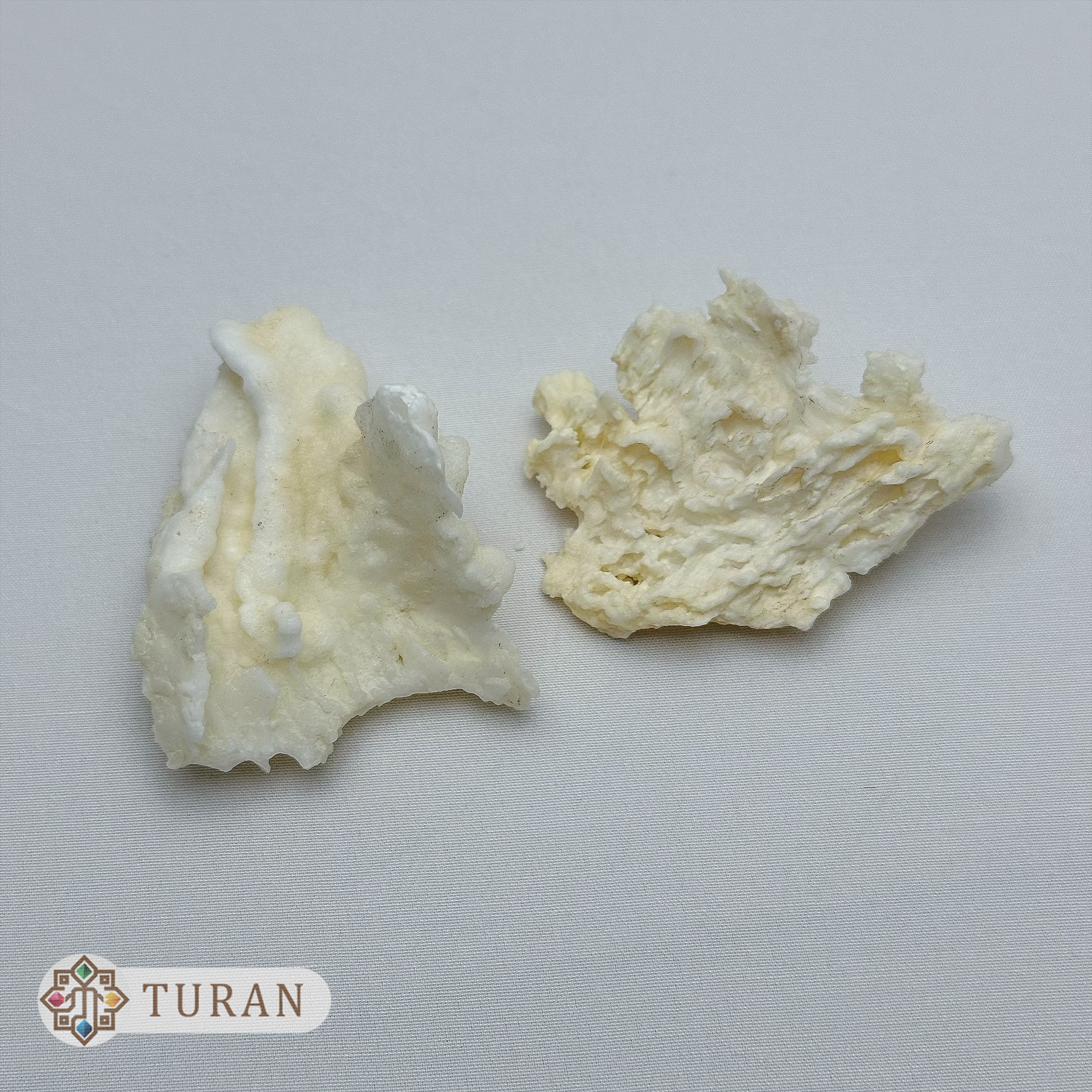 پک دو عددی آراگونیت درختی 44 گرم