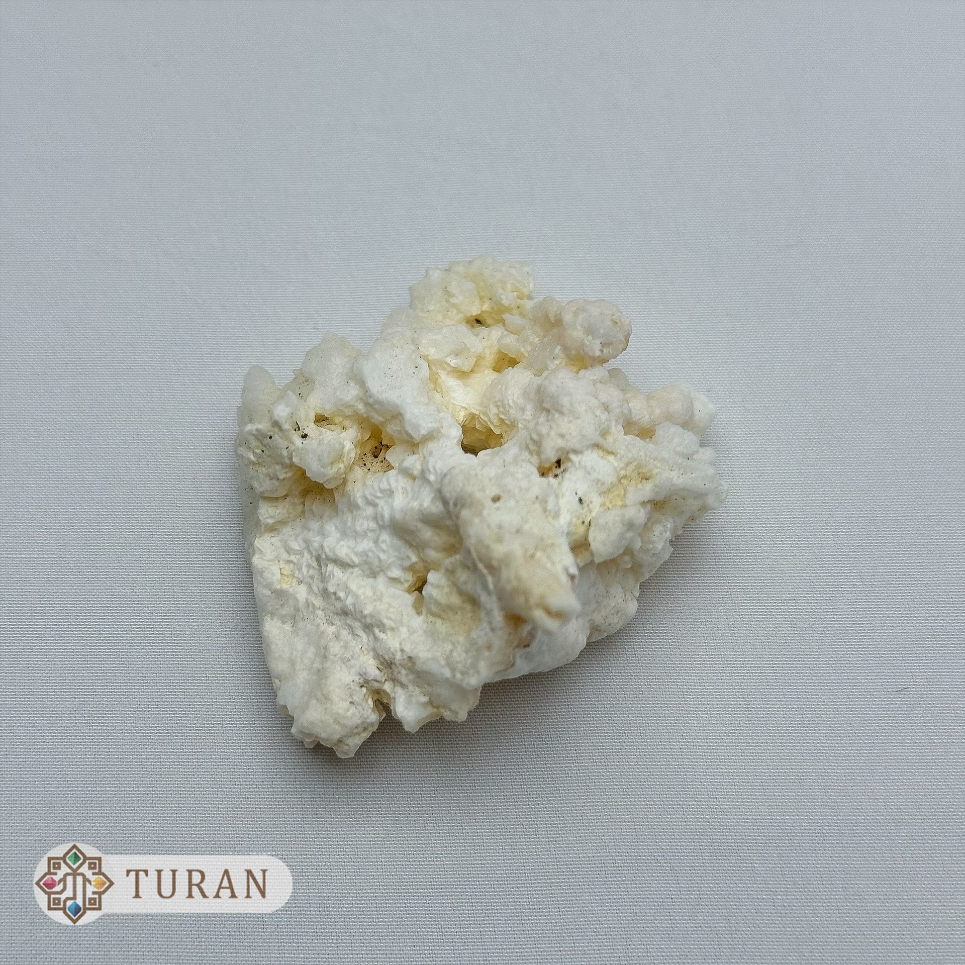 سنگ راف آراگونیت درختی طبیعی 44 گرم