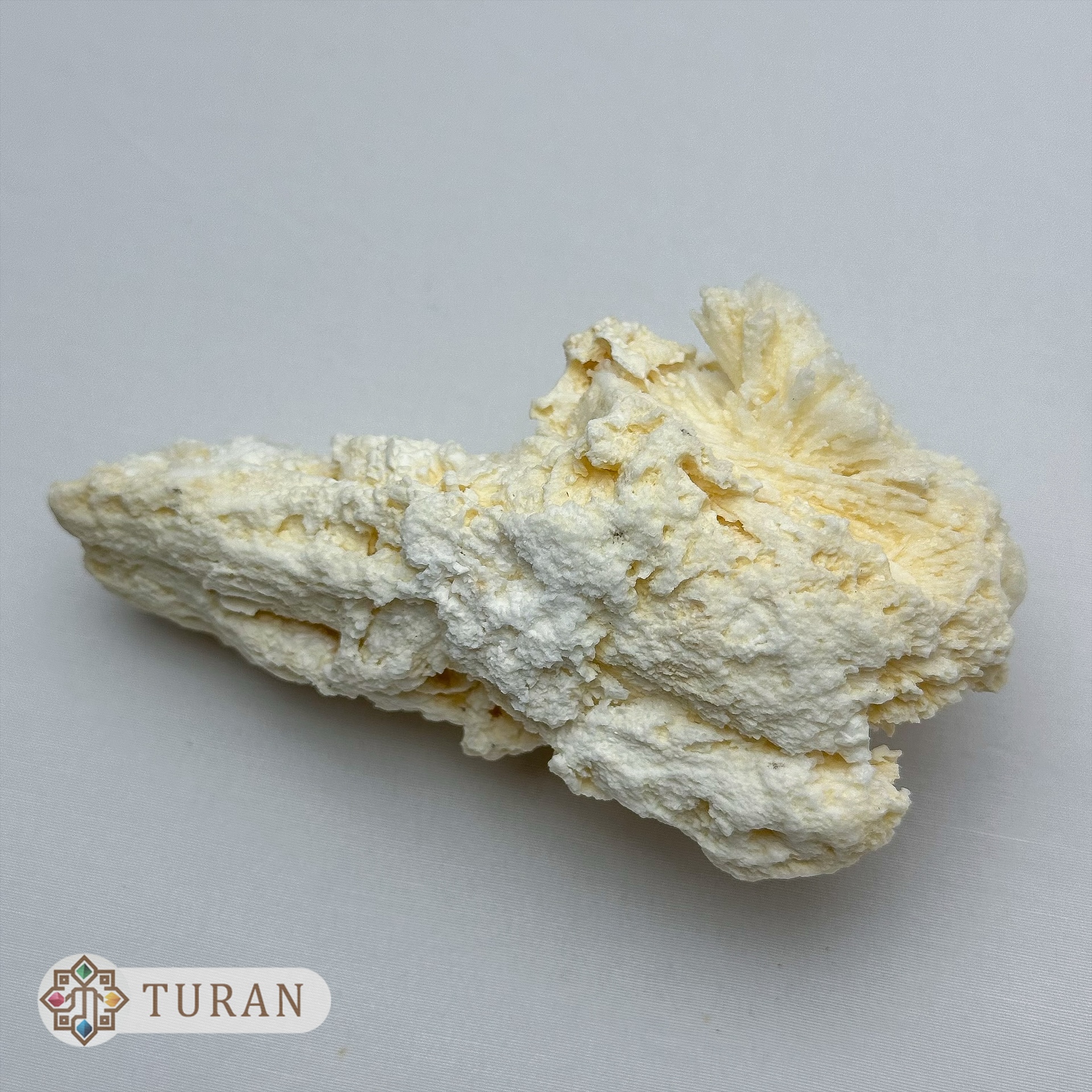 سنگ راف آراگونیت درختی طبیعی 146 گرم