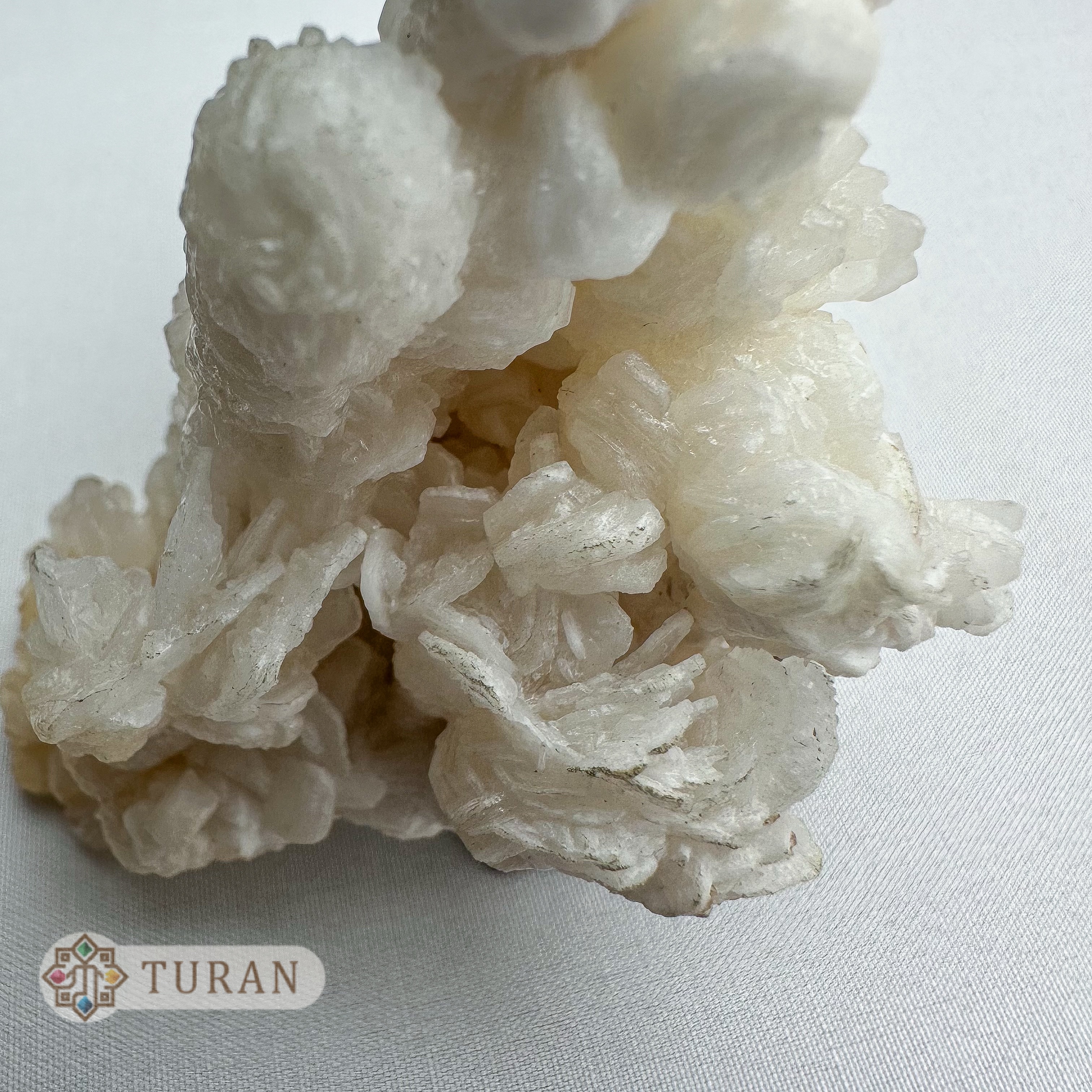 رز آراگونیت درختی طبیعی کلکسیونی 127 گرم