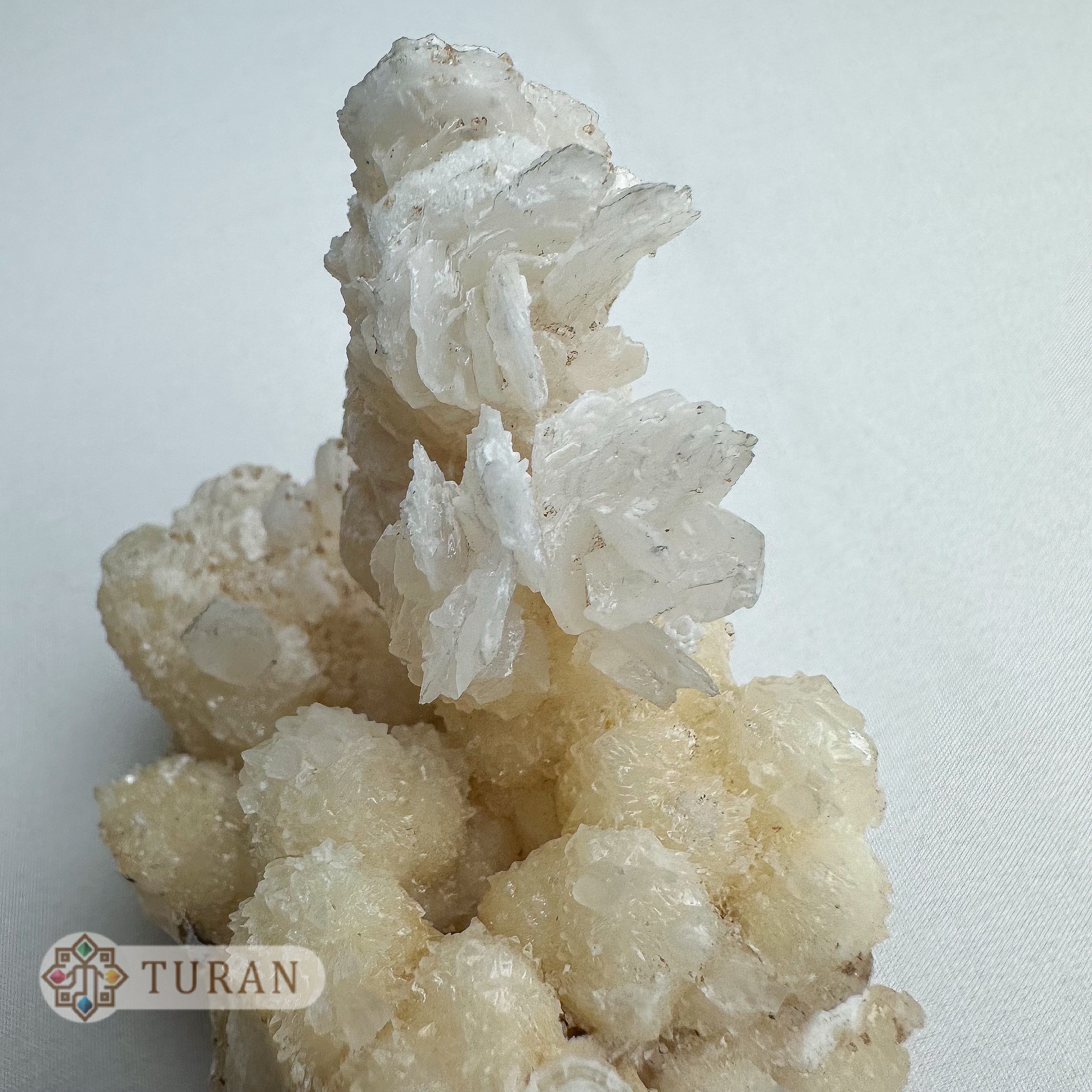 رز آراگونیت درختی طبیعی کلکسیونی 186 گرم