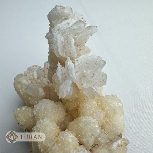 رز آراگونیت درختی طبیعی کلکسیونی 186 گرم