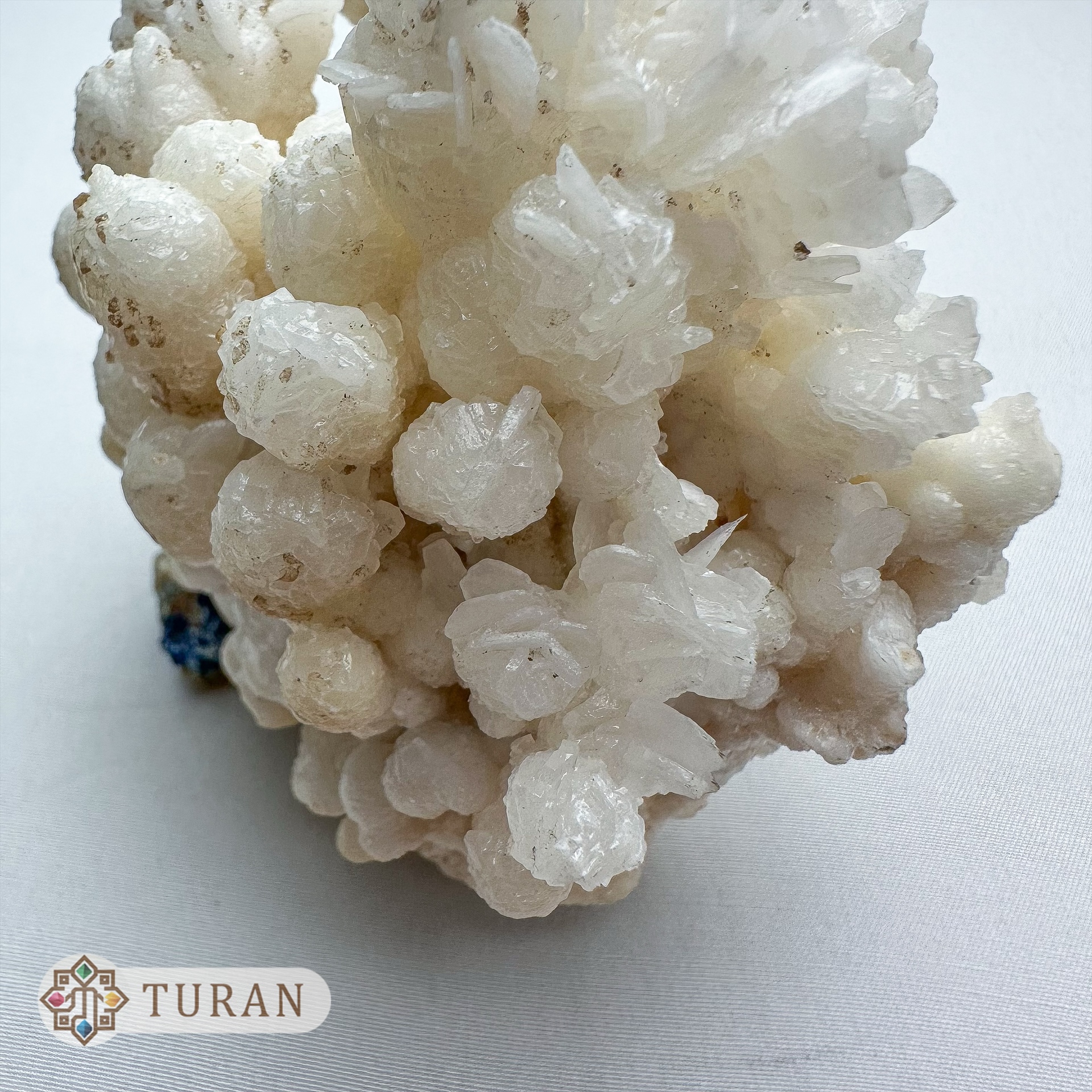 رز آراگونیت درختی طبیعی کلکسیونی 266 گرم