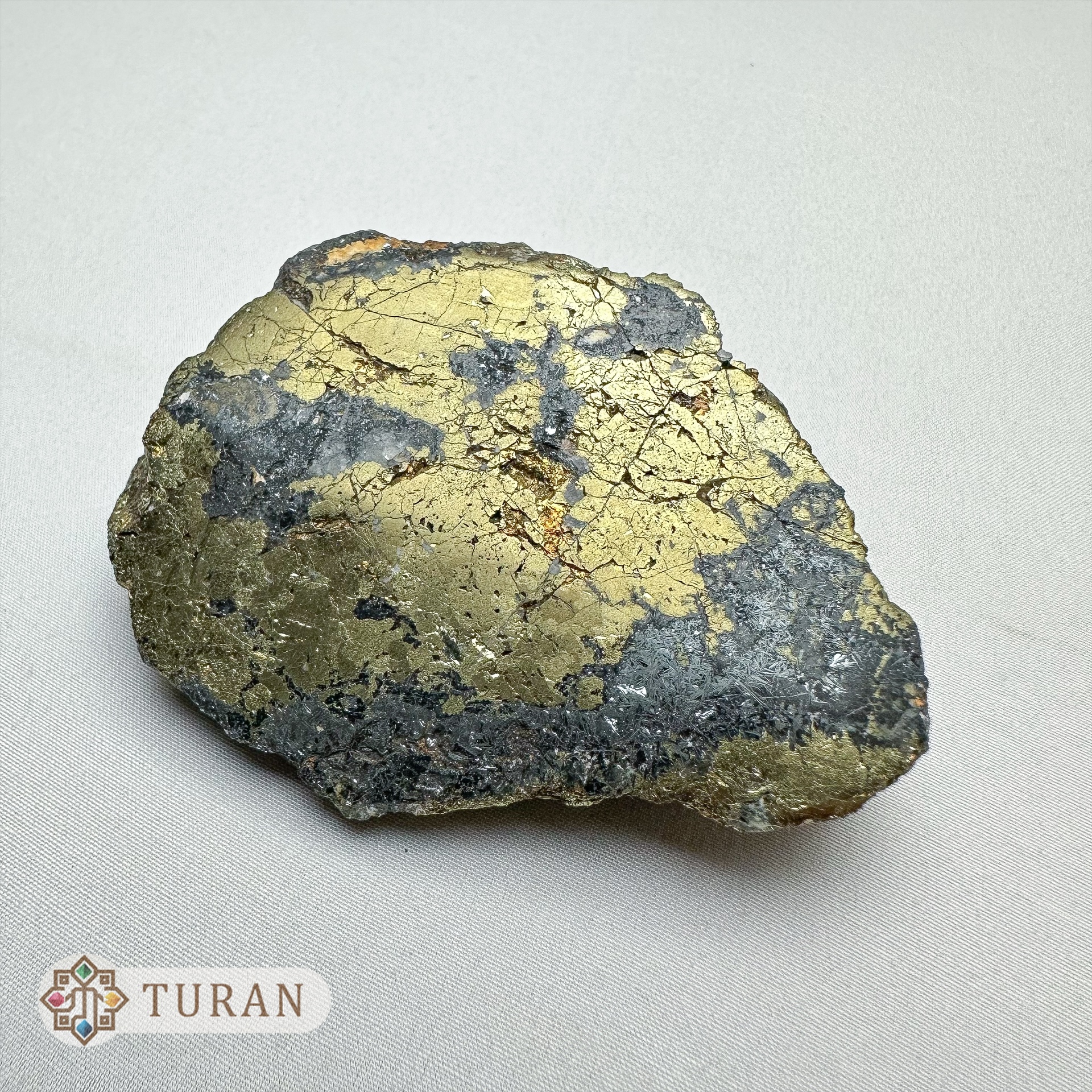 کالکو پیریت با همرشدی آلژیسیت طبیعی پولیش شده 184 گرم