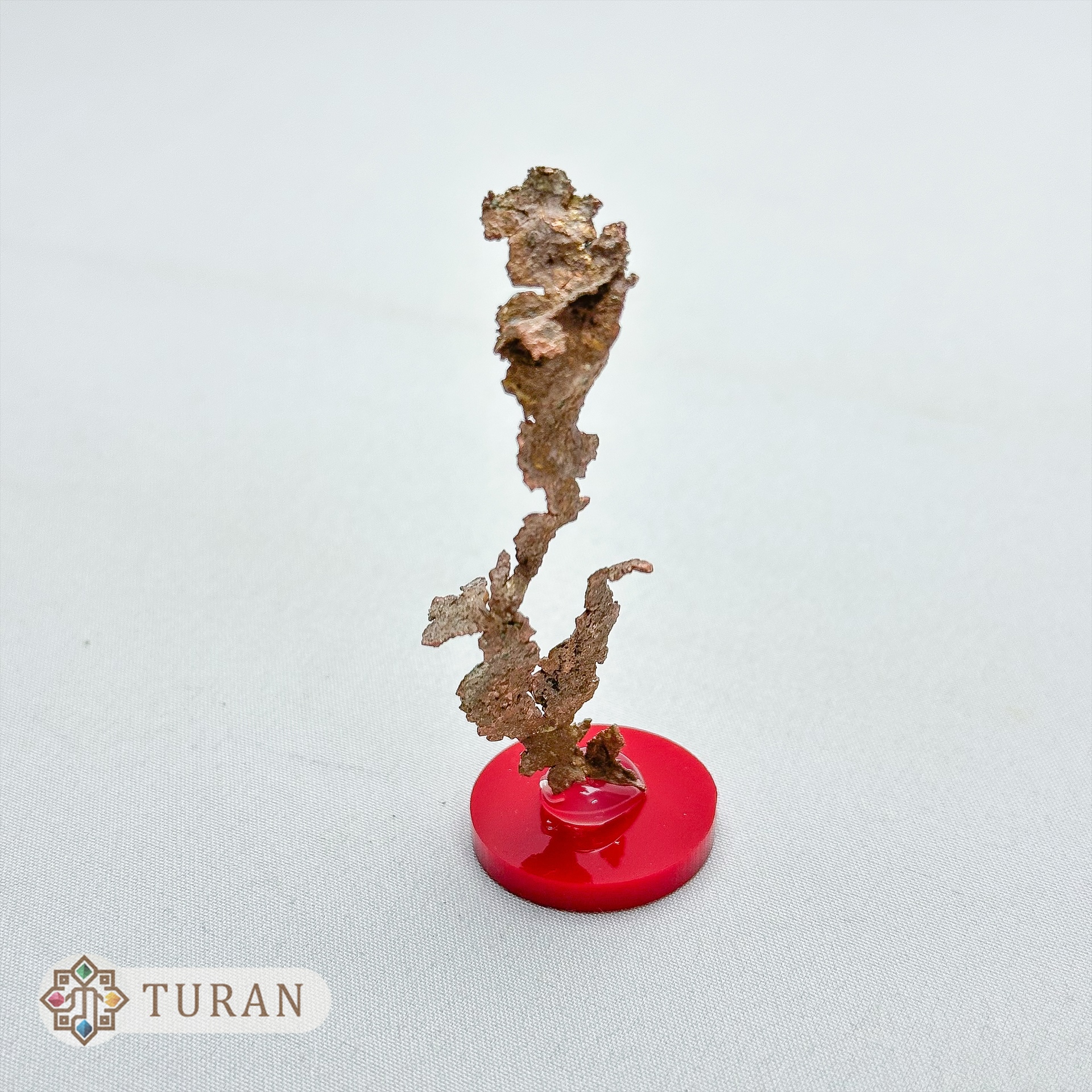 کانی کمیاب مس نیتیو با رشد دندریتی با پایه کلکسیونی 2.29 گرم